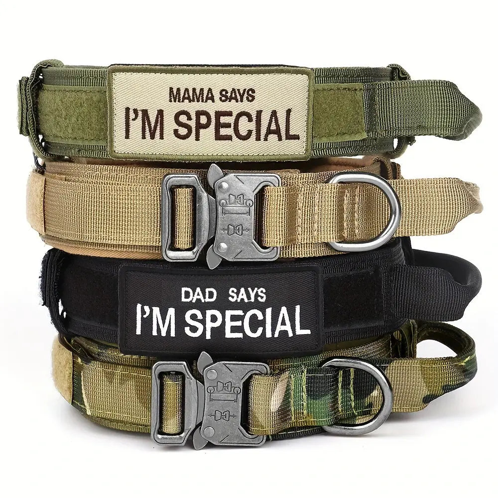 K9 Taktisches Hundehalsband DOVERS - Tactical Shop