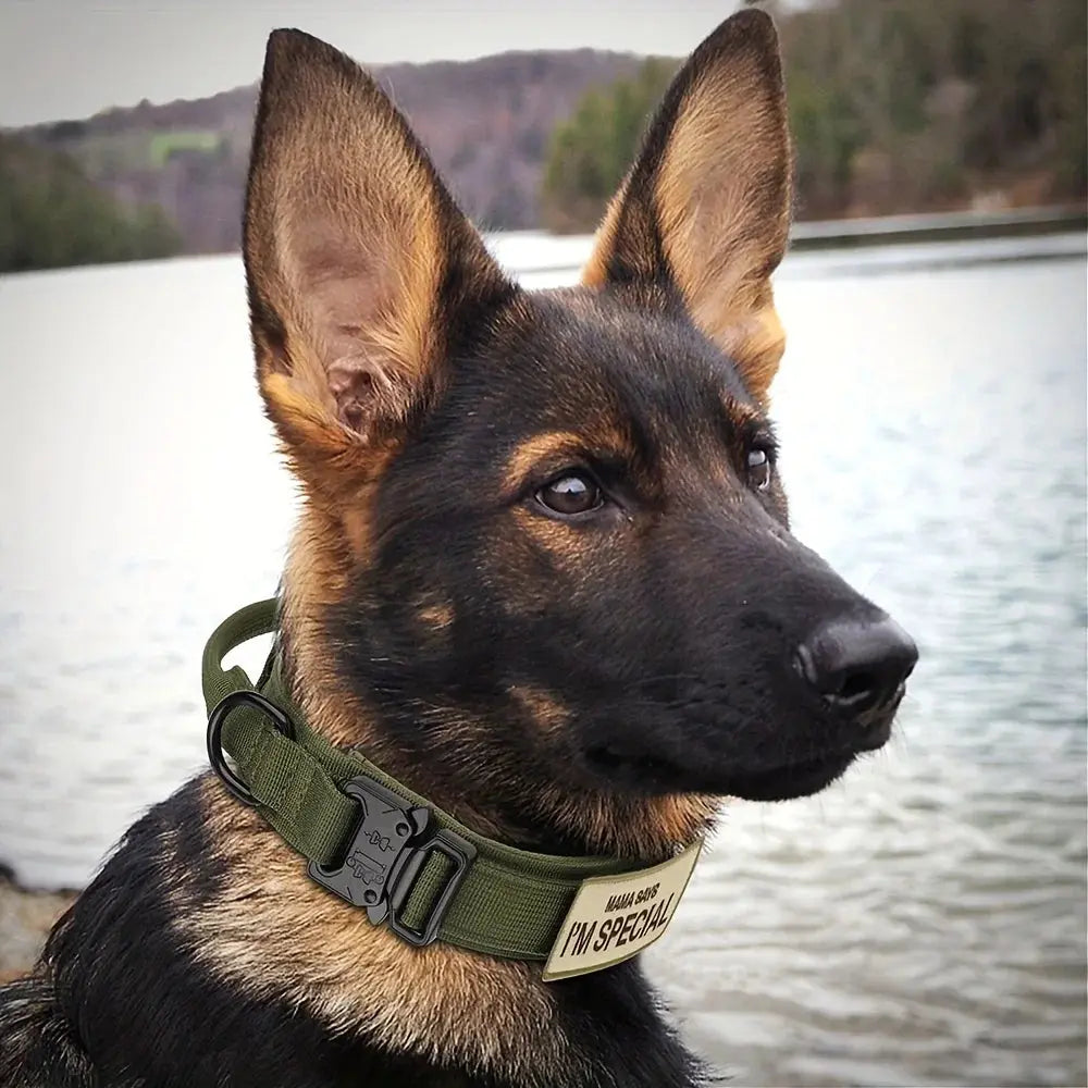K9 Taktisches Hundehalsband DOVERS - Tactical Shop
