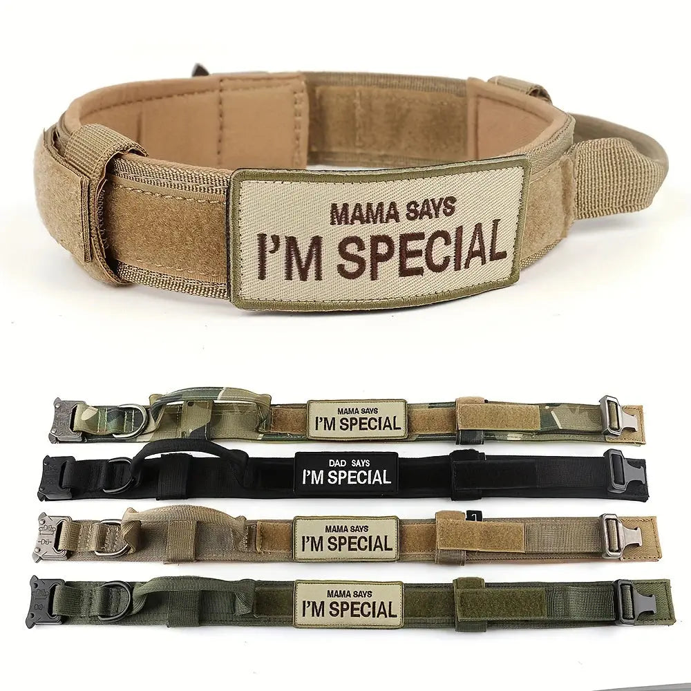 K9 Taktisches Hundehalsband DOVERS - Tactical Shop
