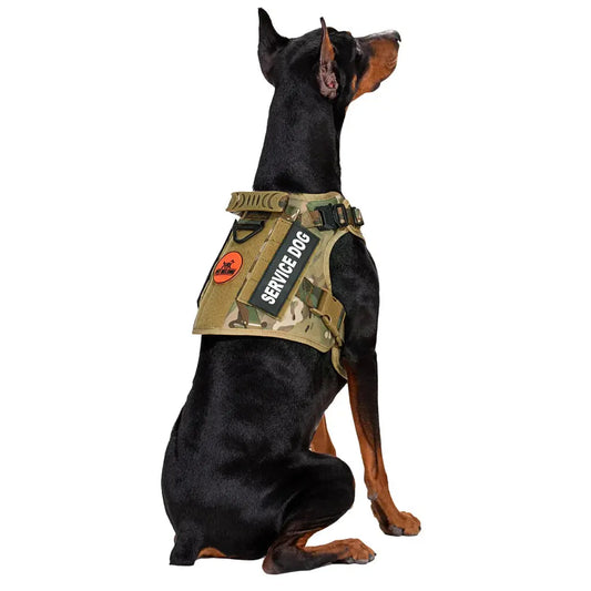 K9 TaktikMeister™ - Taktisches Hundegeschirr - DOVERS - Tactical Shop