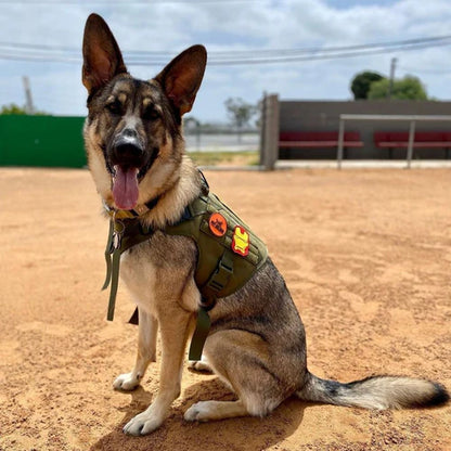 K9 Taktisches Hundegeschirr mit Griff & MOLLE-System