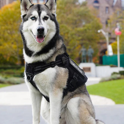 K9 Taktisches Hundegeschirr mit Griff & MOLLE-System