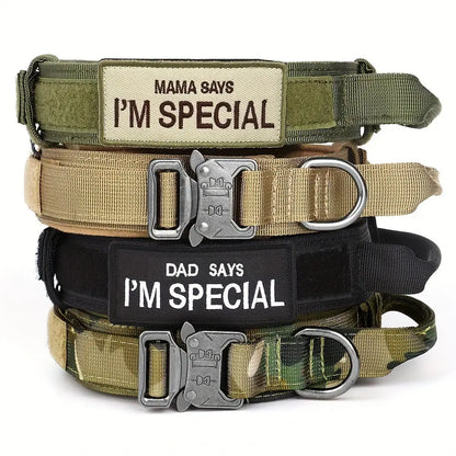 K9 Taktisches Hundehalsband DOVERS - Tactical Shop