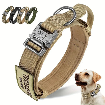 K9 Taktisches Hundehalsband DOVERS - Tactical Shop