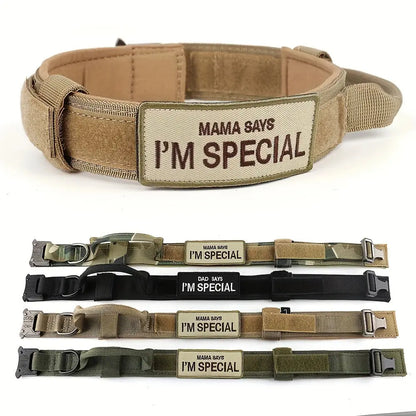 K9 Taktisches Hundehalsband DOVERS - Tactical Shop