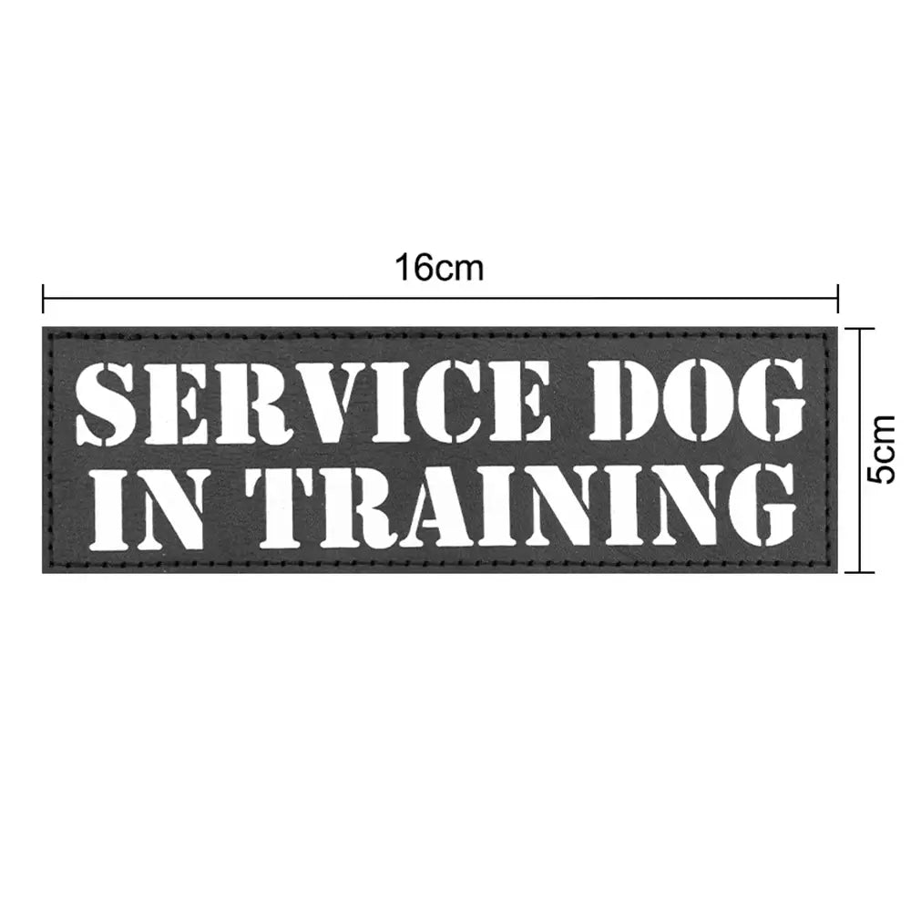 Set of 12 Patches DOVERS - Tactical Shop