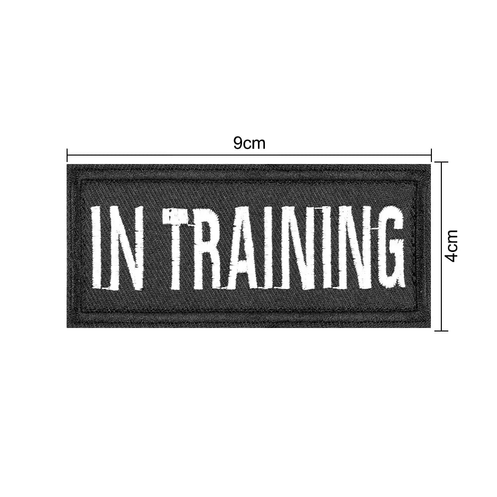 Set of 12 Patches DOVERS - Tactical Shop